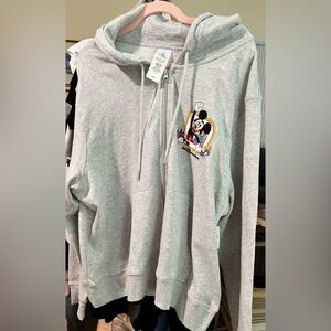 WDW Disney Parks Play in the Park Gray Zip-Up Hoodie